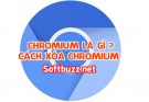 What is Chromium? How to completely remove chromium from your computer in 2020 36