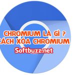 Chromium là gì? Cách xóa chromium khỏi máy tính tận gốc 2020 41