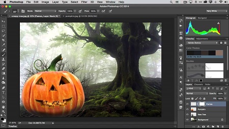 adobe illustrator cc portable for mac