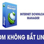 5 Cách Khắc Phục Lỗi IDM Không Bắt Link Trên Chrome 2021 20