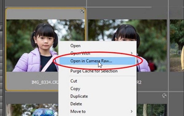 Camera Raw 12.3 Full - Plugin cho Photoshop Mới Nhất 2021 17
