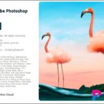 Tải Phần Mềm Photoshop cc 2021 Full Vĩnh Viễn-Test 100% 66