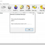 Download IDM Full Toolkit, IDM FUll 2022-Google Drive 40