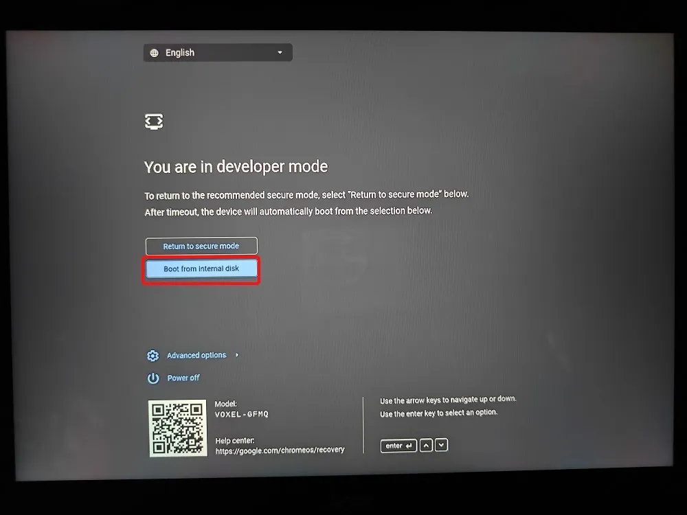 Boot from internal disk