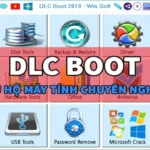 DLC BOOT 2019