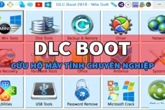 DLC BOOT 2019