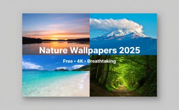 Thumbnail - Nature Wallpapers 2025