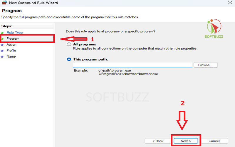Choose Program → click Next.
