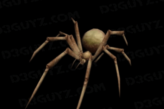 Diablo Spider thumbnail