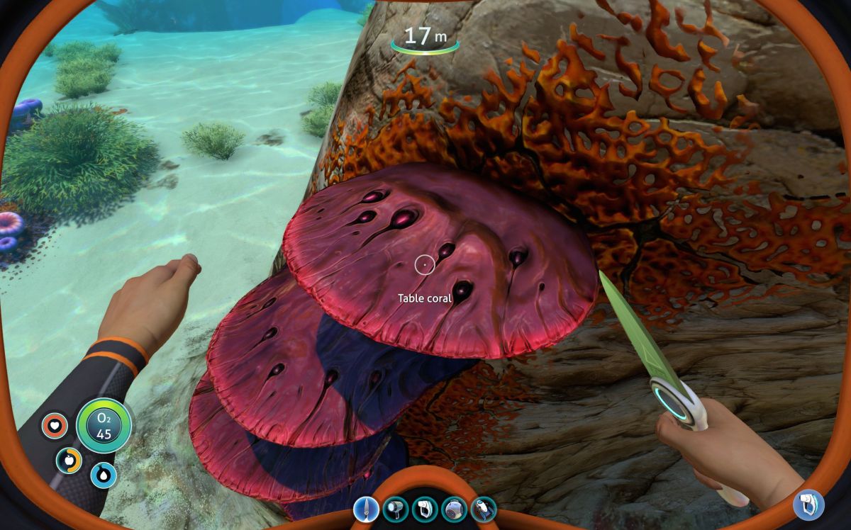 How to find Subnautica Table Coral